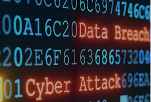 What to do in the first 24 hours of a data breach